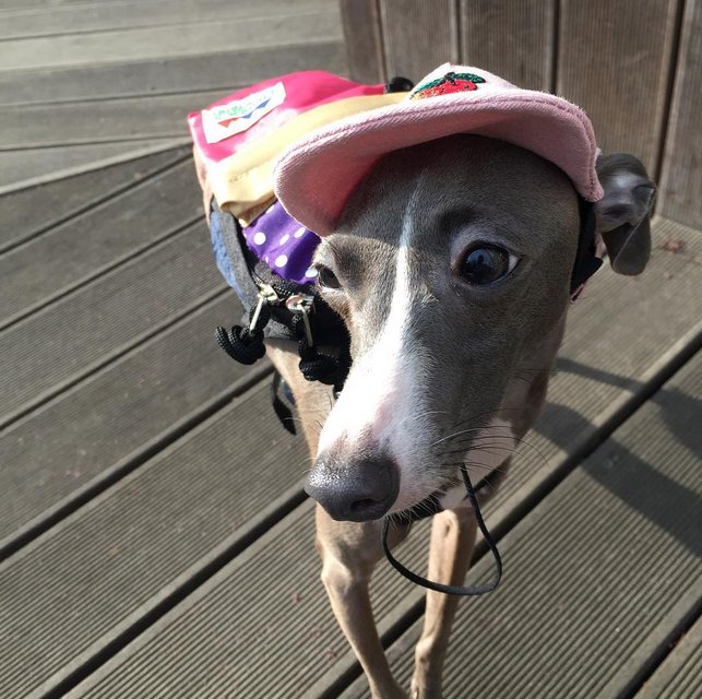 YGwinnerPH's tweet photo. maetamongisdad Insta Update
walk...I heard my heart pounding..#paepi https://t.co/Whit6ycAMx