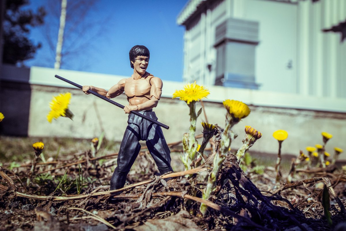 antti_karppinen's tweet photo. Latest #photography project #tinybrucelee Be sure to check out adventures #stories https://t.co/Cqt8VFuXi7 https://t.co/0bwtBNLP4t