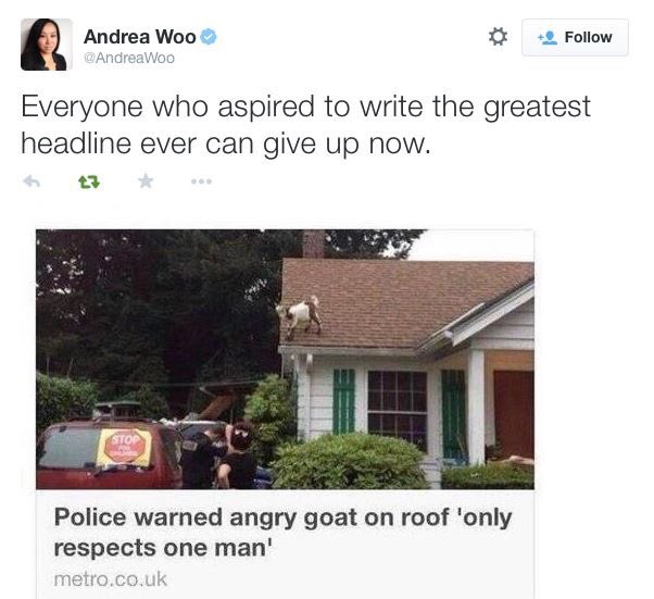 Jane_Sander's tweet photo. One of the best headlines I've seen. https://t.co/MCGGjIQr61