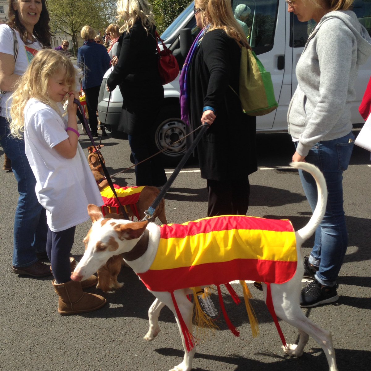 jeannesmith1's tweet photo. @PodencoAlliance @judythevet @PeterEgan6 Huge turnout of rescue Dogs &amp; supporters gather to protest Spain's cruelty! https://t.co/HcIduR7aEy