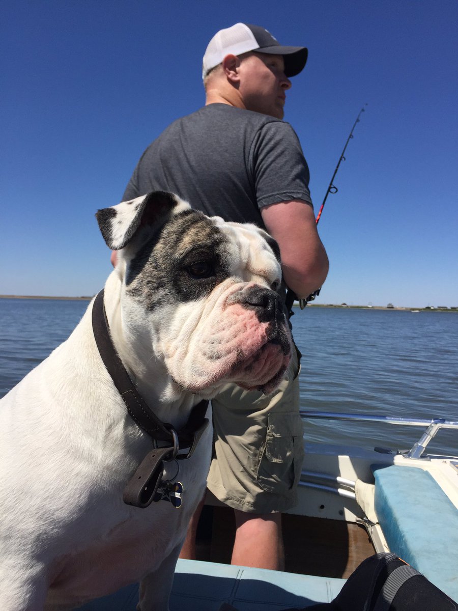 JasonThier's tweet photo. Beautiful first day of May in Bismarck... Had to take the weekender out for her maiden voyage. #lineinthewater https://t.co/45DRDixtrt