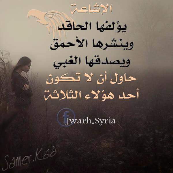 MMage12's tweet image. 