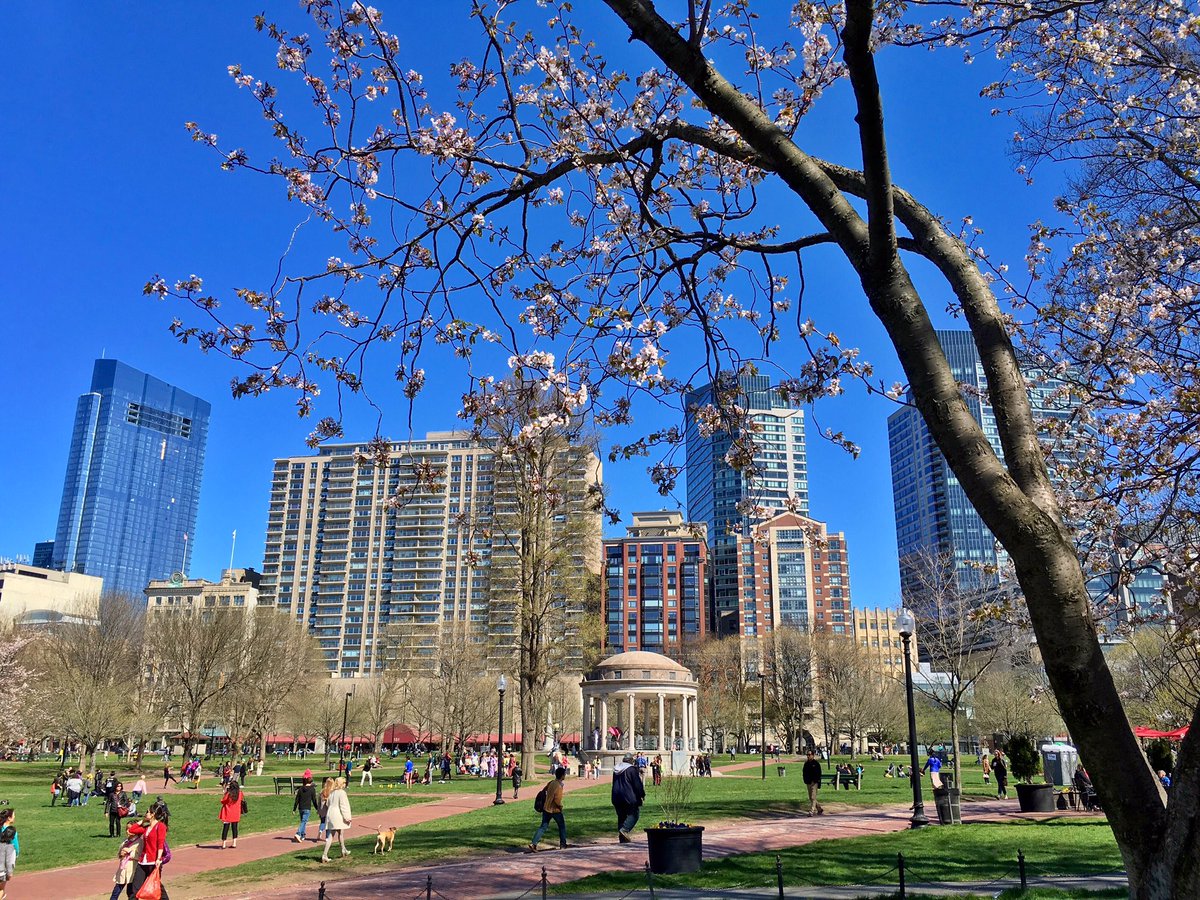 witchhat's tweet image. #springtime in #Boston. Who should I be following for Boston area #photography and related info?