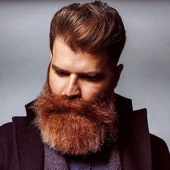 beardoholic tweet picture