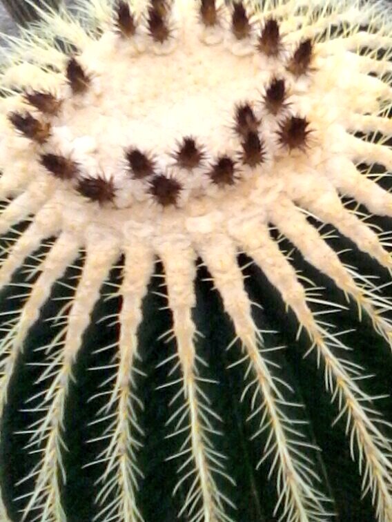 GlobalDoves's tweet image. The Journey of Life!