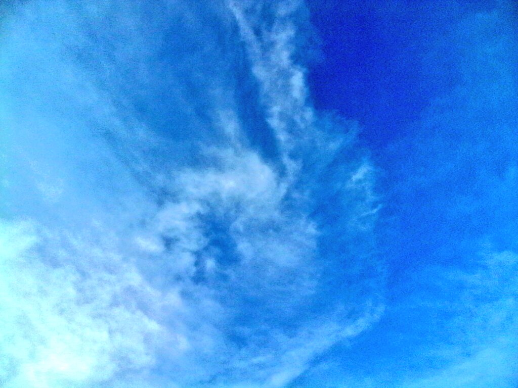 GlobalDoves's tweet image. Endless Possibilities!