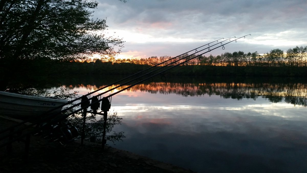 Becky Sharman (@beckygrassicole) on Twitter photo 