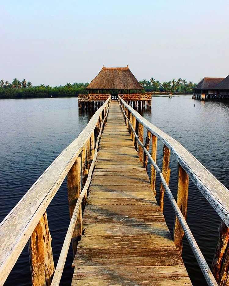 helloBenin's tweet photo. Oh, for the love of Casa. 😍🌴
photo by Barbara & 1923 in #Benin
#HelloBenin https://t.co/Rws6W3XI8h