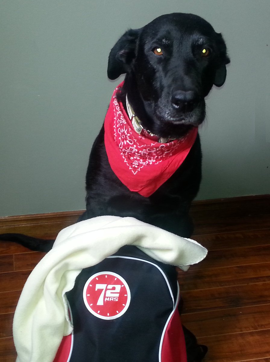 MollyPrepared's tweet photo. Molly Gets Prepared #PrepareYourSelfie #MollyGetsPrepared #ONReady
#EPWeek #EmergencyPreparedness #EmergencyKit https://t.co/qLAJFrWyT2