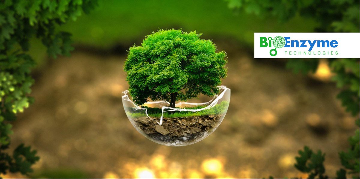 Bioplast's tweet photo. BIOPLAST Branded Biodegradable &amp; Compostable Household Garbage Bags Products produced by BioEnzyme Technologies https://t.co/CtC9SvUIBJ