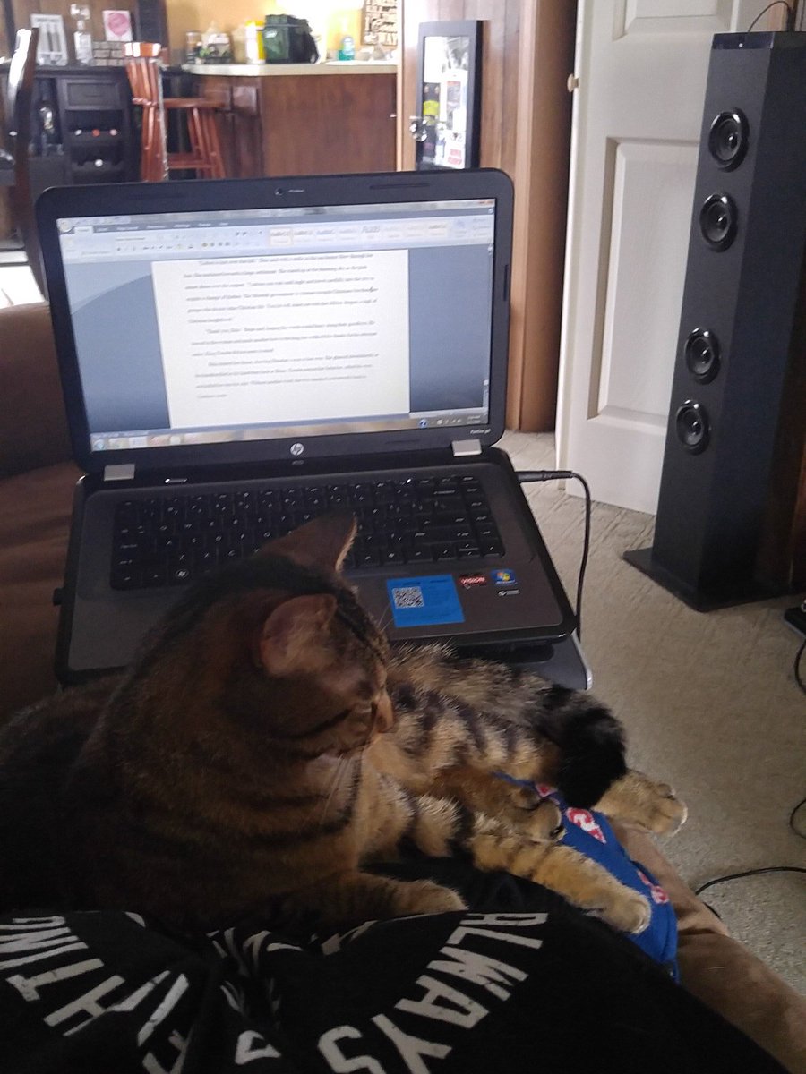 How a writer writes when they have cats