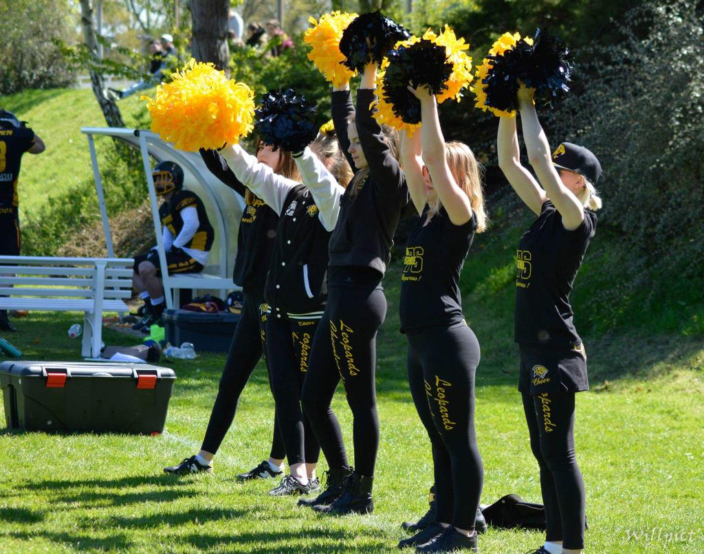 CheerLeopards's tweet photo. Une très belle journée passée au bord du terrain ;) #CheerLeopards #Cheerleading #Rouen #LeopardsFamily #Cheer https://t.co/DrrI30FZC2