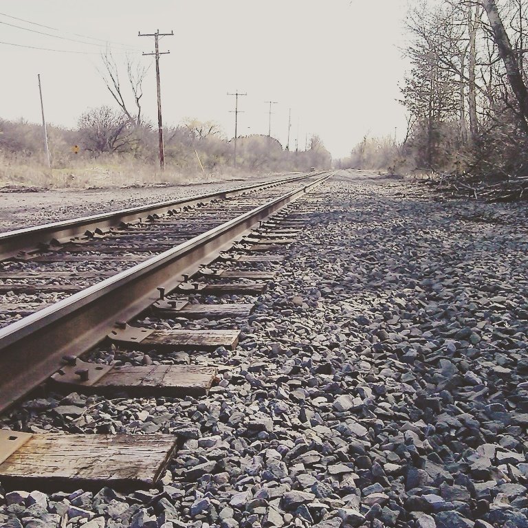 ImThePringleMan tweet media