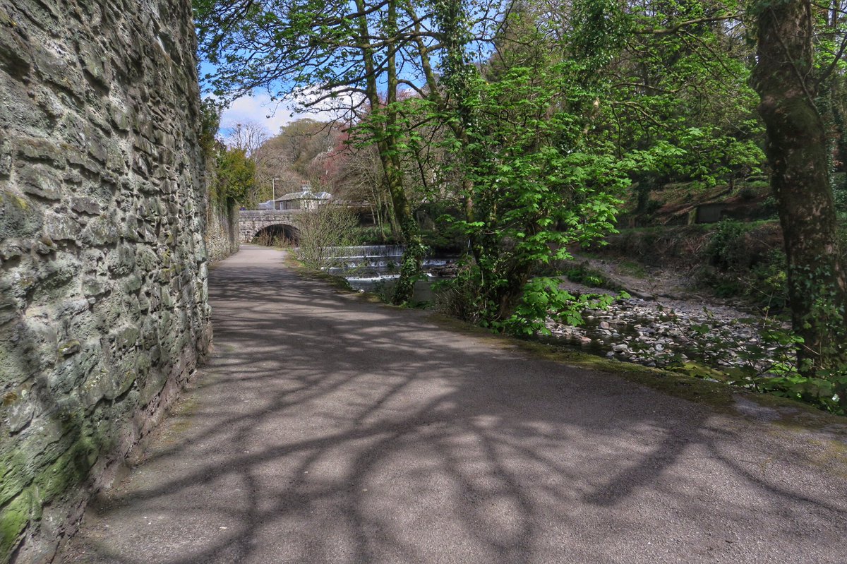 The river path in Tavistock yesterday, I go along here in my wheelchair, lucky to get so close a river. #Devon.