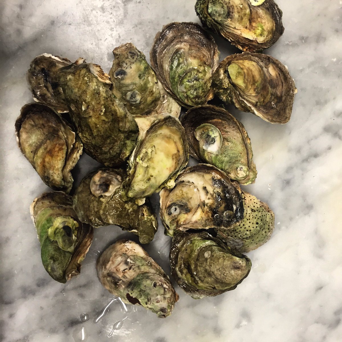 concessionroad's tweet image. #buckashuck #Sunday 5PM! @pukkatoronto @StClairWEats @VillageLivinMag @RoastButcher @bakerandscone @JoannaSable