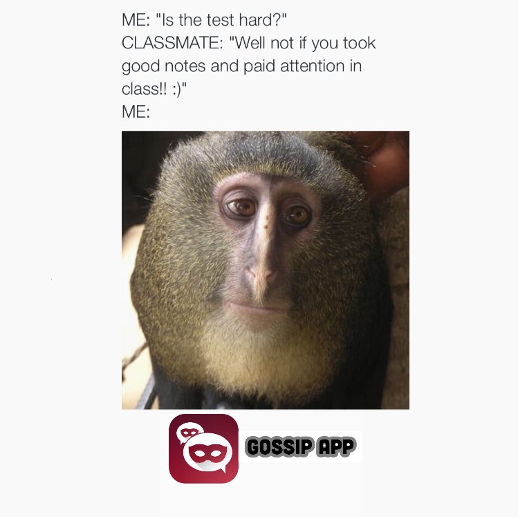 GossipApps's tweet photo. So me 😂😂 https://t.co/E0txcAHiGd