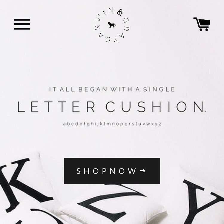 Stacey Gray MacDonald tweet media