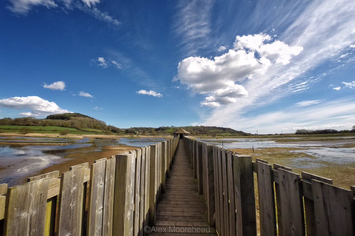 Spent yesterday afternoon exploring Seaton Wetlands in the beautiful late April weather. Took this on the <a href="/GoPro/">GoPro</a>