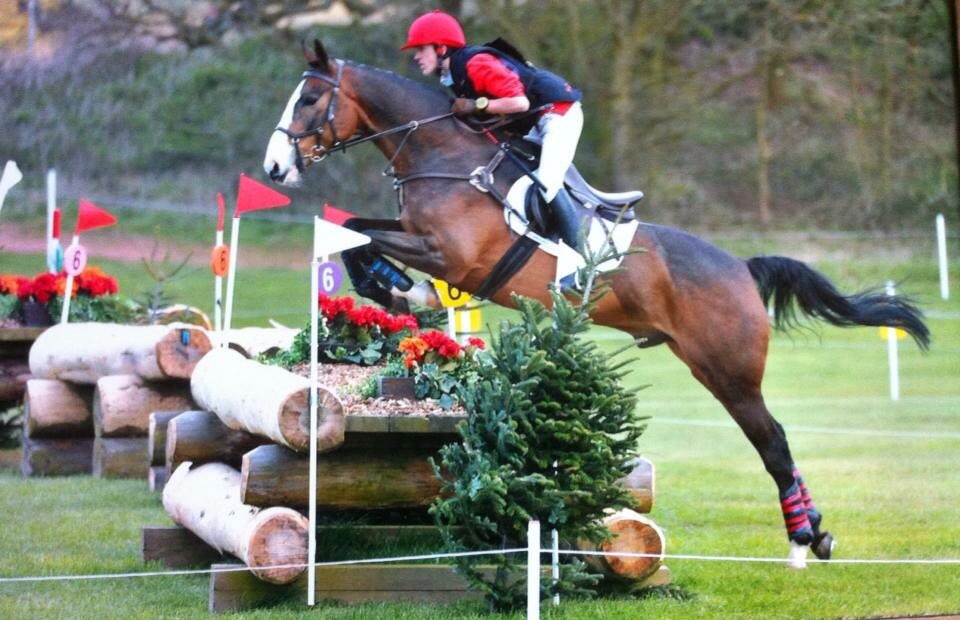 BenRead1234's tweet photo. Kelsall Hill Novice 2016 #kelsallhill #Dougaldelight https://t.co/Fq5eixSC84