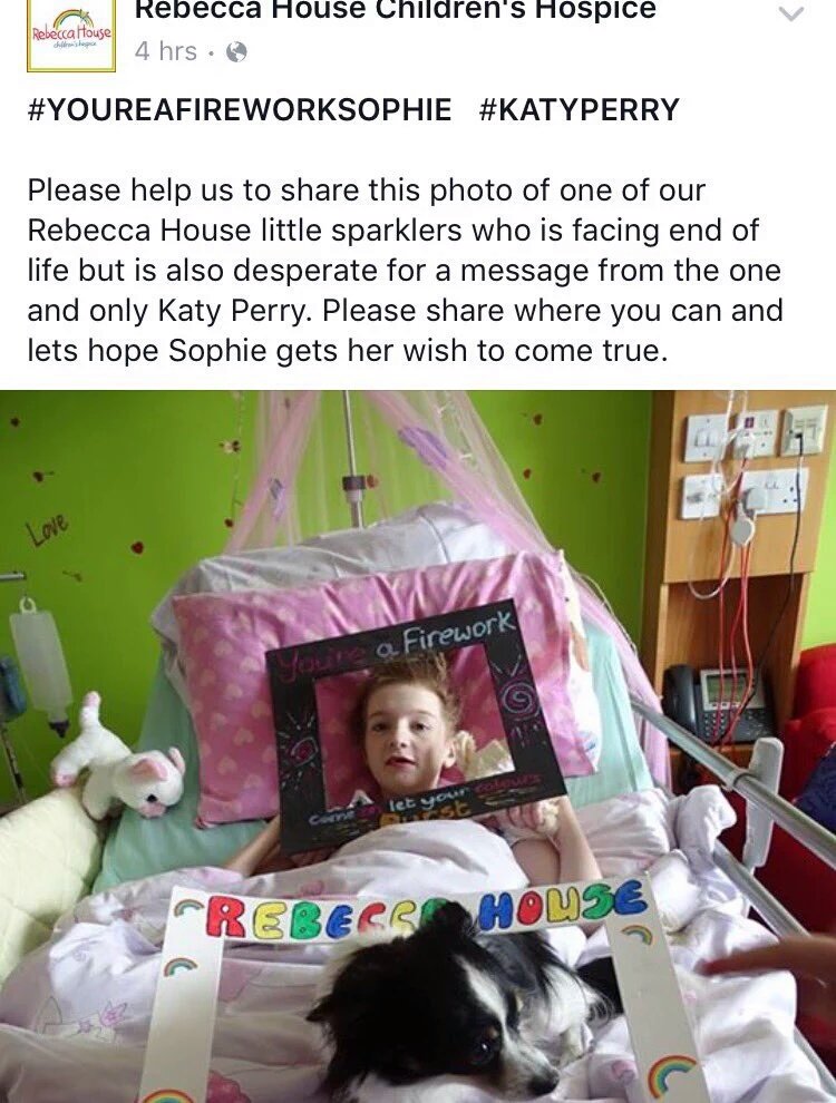BenNall79's tweet image. @msm4rsh please could you share this tweet. So we can make Sophie's final wish come true #YoureAFireworkSophie