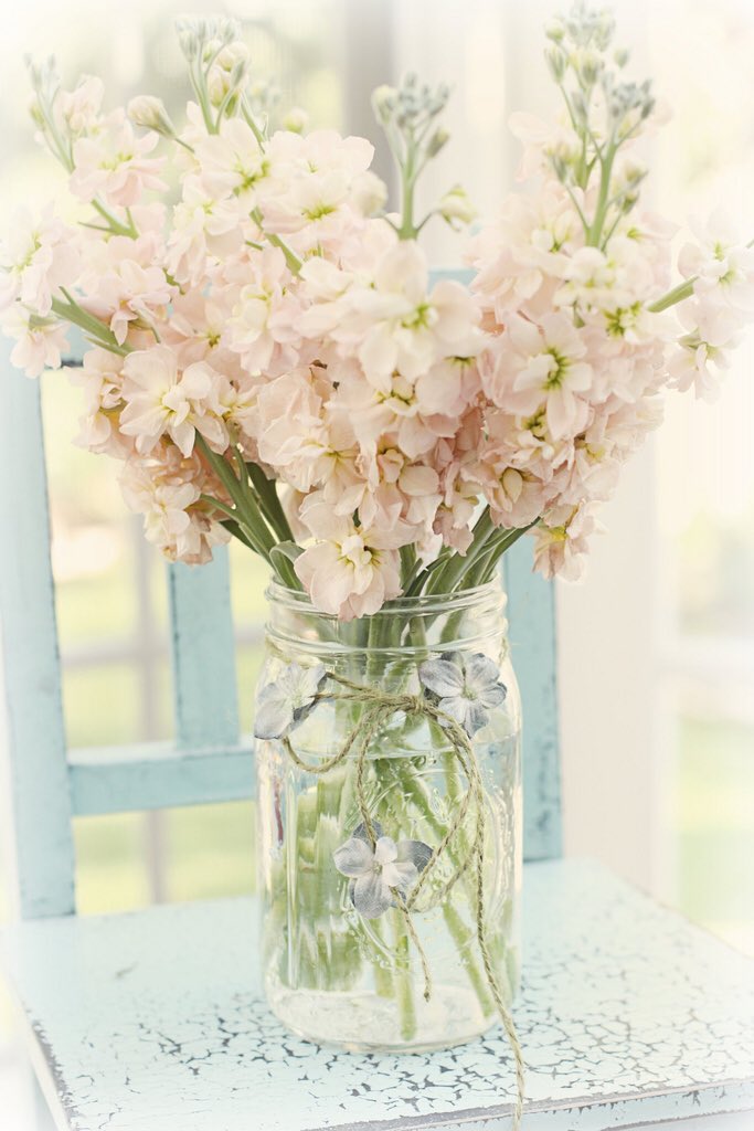 StaunchAgent's tweet image. Has these delivered to @NannyKari__ desk with a note. "I thought these could help with the office." - Eric