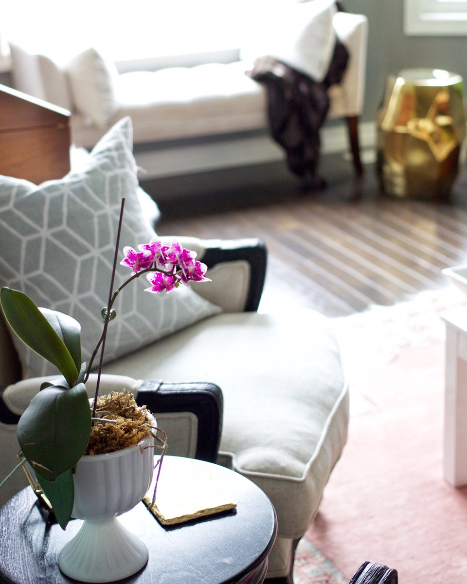ellivenstudio's tweet photo. I wish the flowers would last forever! #orchid #welcomedistraction #betweenchores #dspink… https://t.co/eCzFqAminz https://t.co/RbgstJlTHt