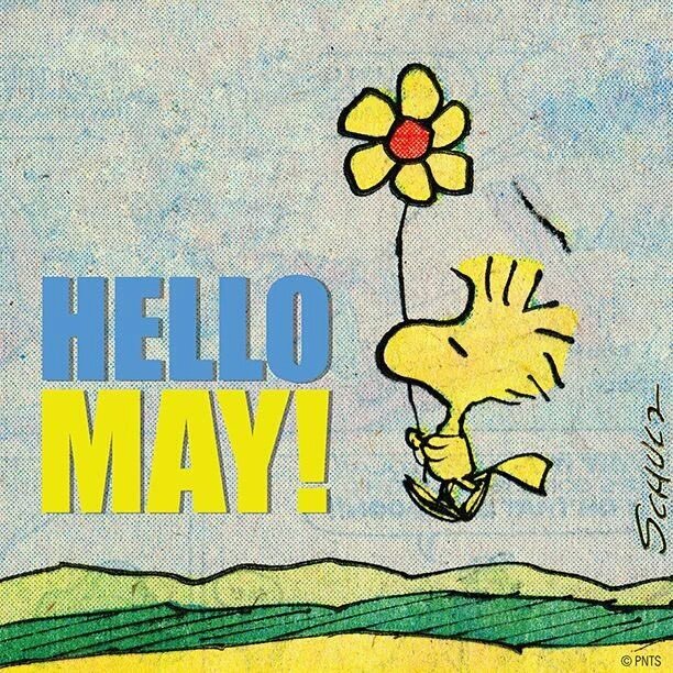abcetici's tweet photo. #1stMay2016
#SunnyDay
#Sunday
#WithLove
. https://t.co/BdPho0ZCSc