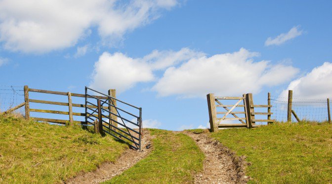 Ag Innovation Showcase tweet media