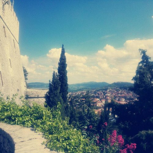 afterthebite's tweet photo. 🌿😍 #nature #toptags @top.tags #sky #sun #summer #beach... https://t.co/BoiEjOKvr3 https://t.co/ykK8n8inDm
