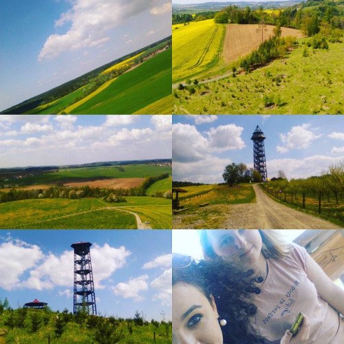 afterthebite's tweet photo. #nature #green #InstaTags4Likes #sky #sun #summer #beach... https://t.co/n8iW7LIMiR https://t.co/2VbgywHmD5