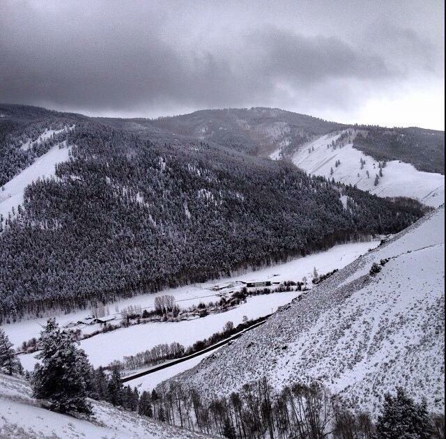 alecbutton's tweet image. Missing Colorado