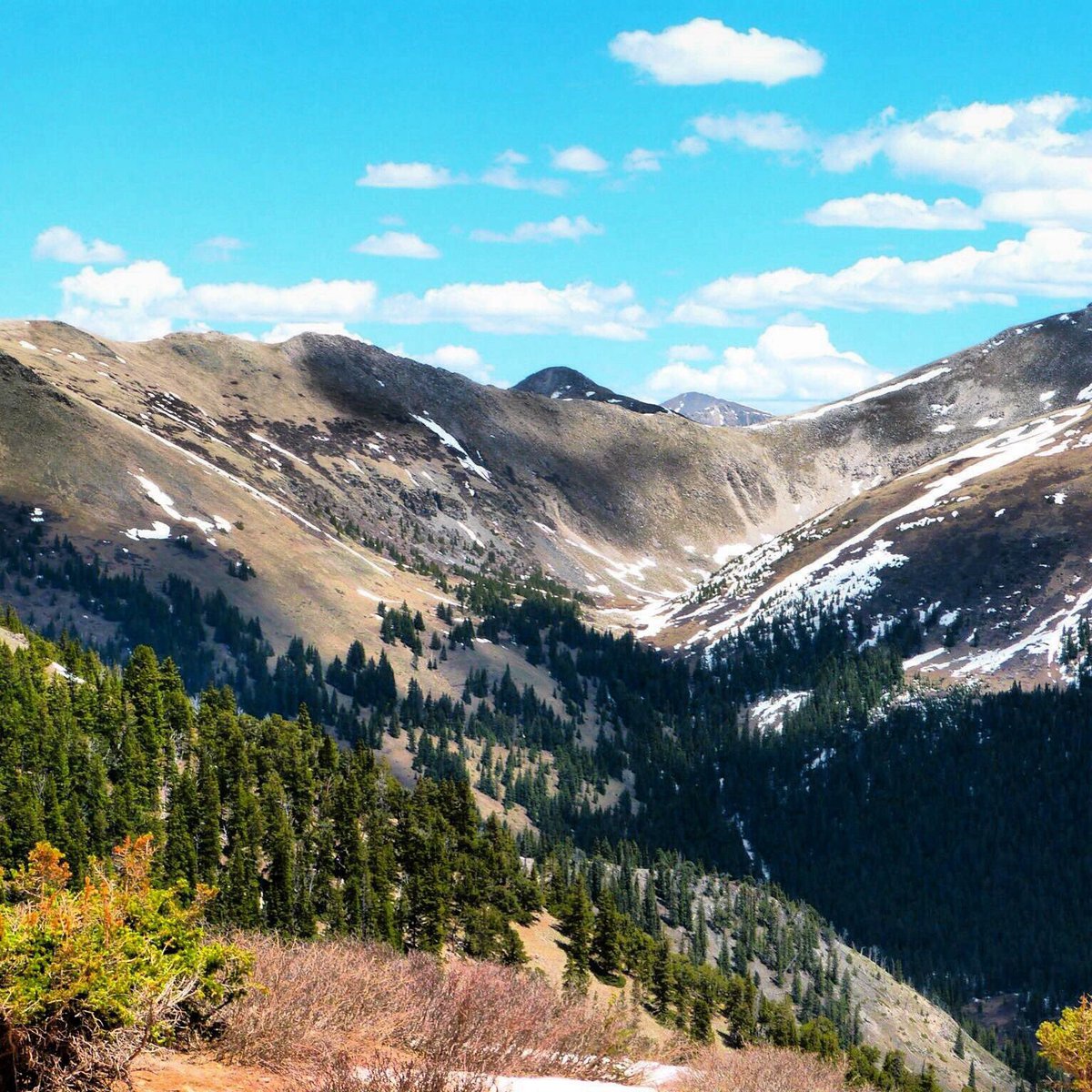 alecbutton's tweet image. Missing Colorado