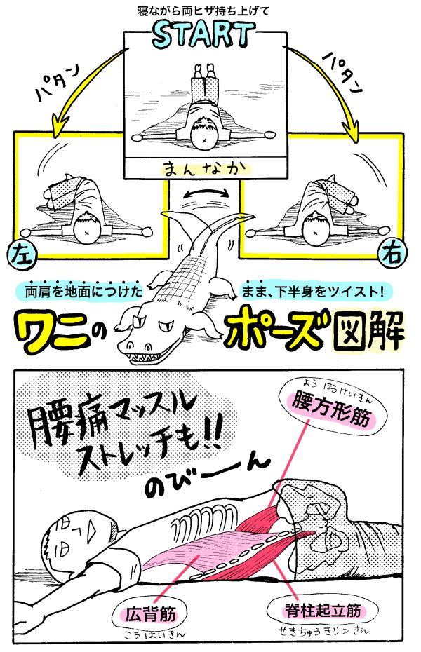 ゴロ寝腰痛ストレッチ「ガス抜きのポーズ」、ついでに「ワニのポーズ」を合わせてやると効果的です! #腰痛
ワニのポーズ→https://t.co/hpCejRiyy3
ガス抜きのポーズ→https://t.co/ggQUKDk5Qk 