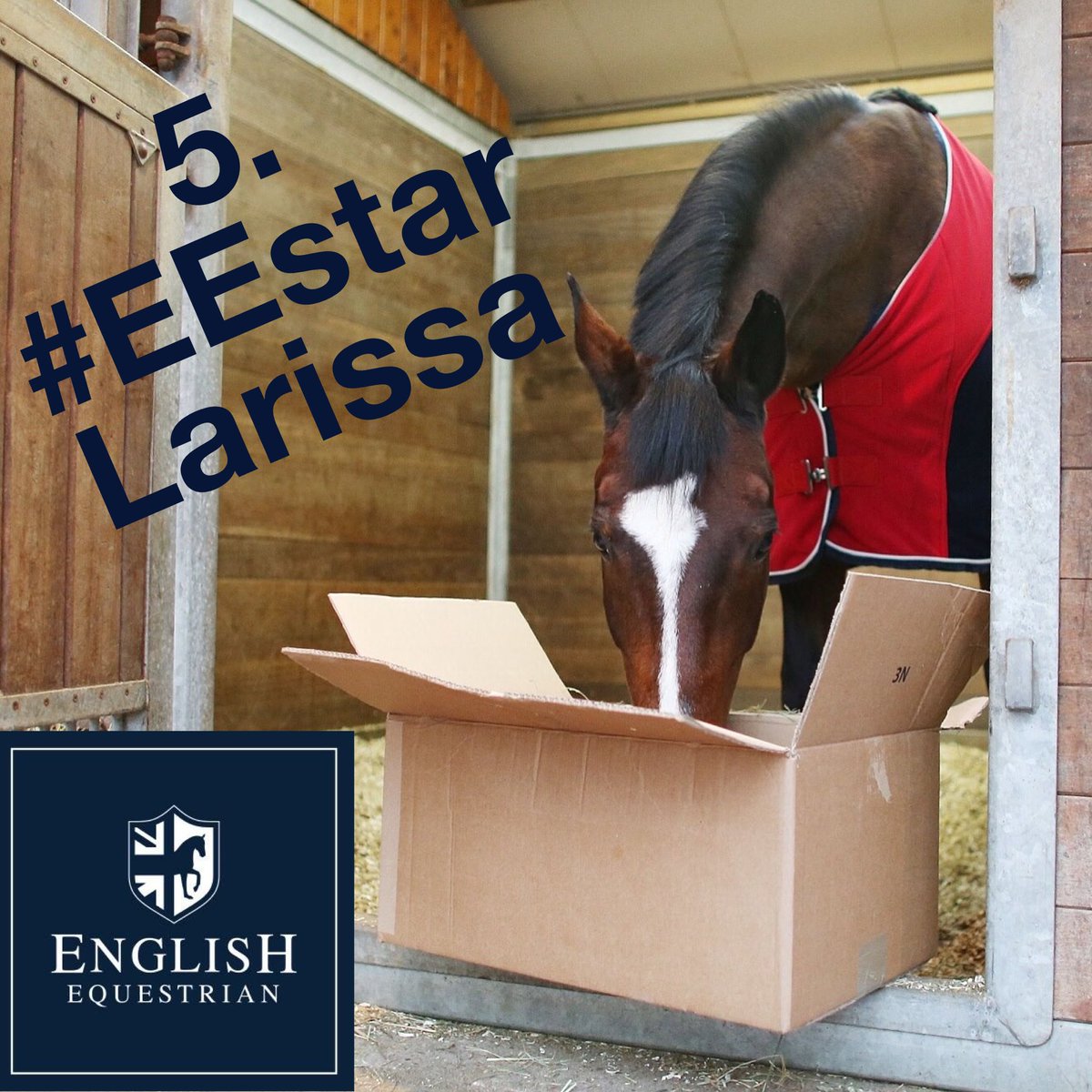 Eng_Equestrian's tweet photo. #EEstar https://t.co/LepTuZ9LAA