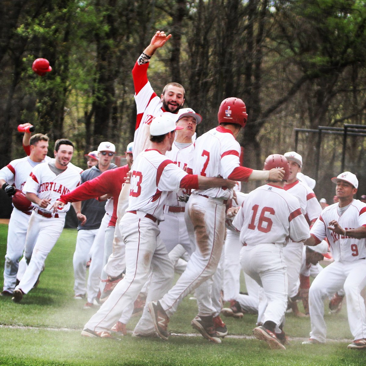suny_cortland's tweet photo. One weekend. FIVE SUNYAC titles.

✔ @Cortlandbball
✔ @CortlandLax
✔ @CORTLANDXCTF (M)
✔ @CortlandSB
✔ @cstatemenslax https://t.co/DVIQtCp4hg