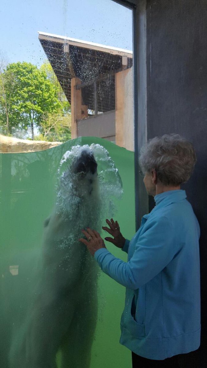 apex_valio's tweet photo. Can't get over how cute my grandma is https://t.co/6f3OFQ6unL