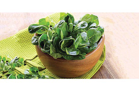 Manfaat Seikat Bayam gopalembang.id/2016/05/09/man…