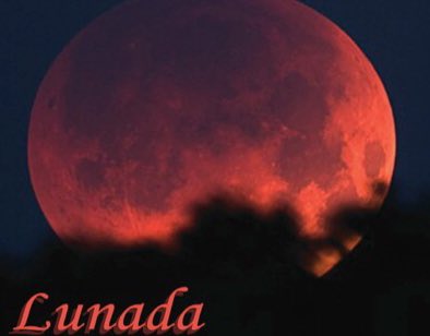 shake1617's tweet photo. ¡Nuevos torneos semestrales!//Se premia a los ganadores con lunada 🌕 https://t.co/twylirlDYR