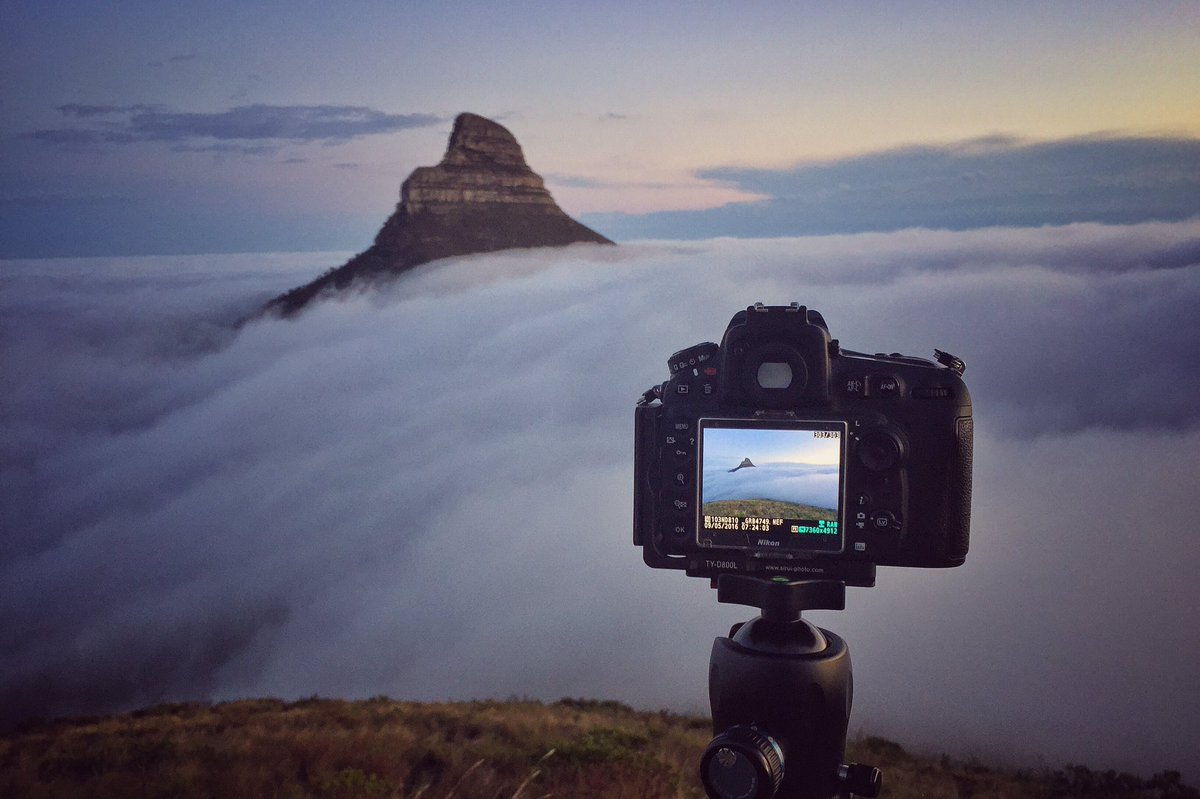 Monday morning vibes. #Nikon #sirui #lionshead