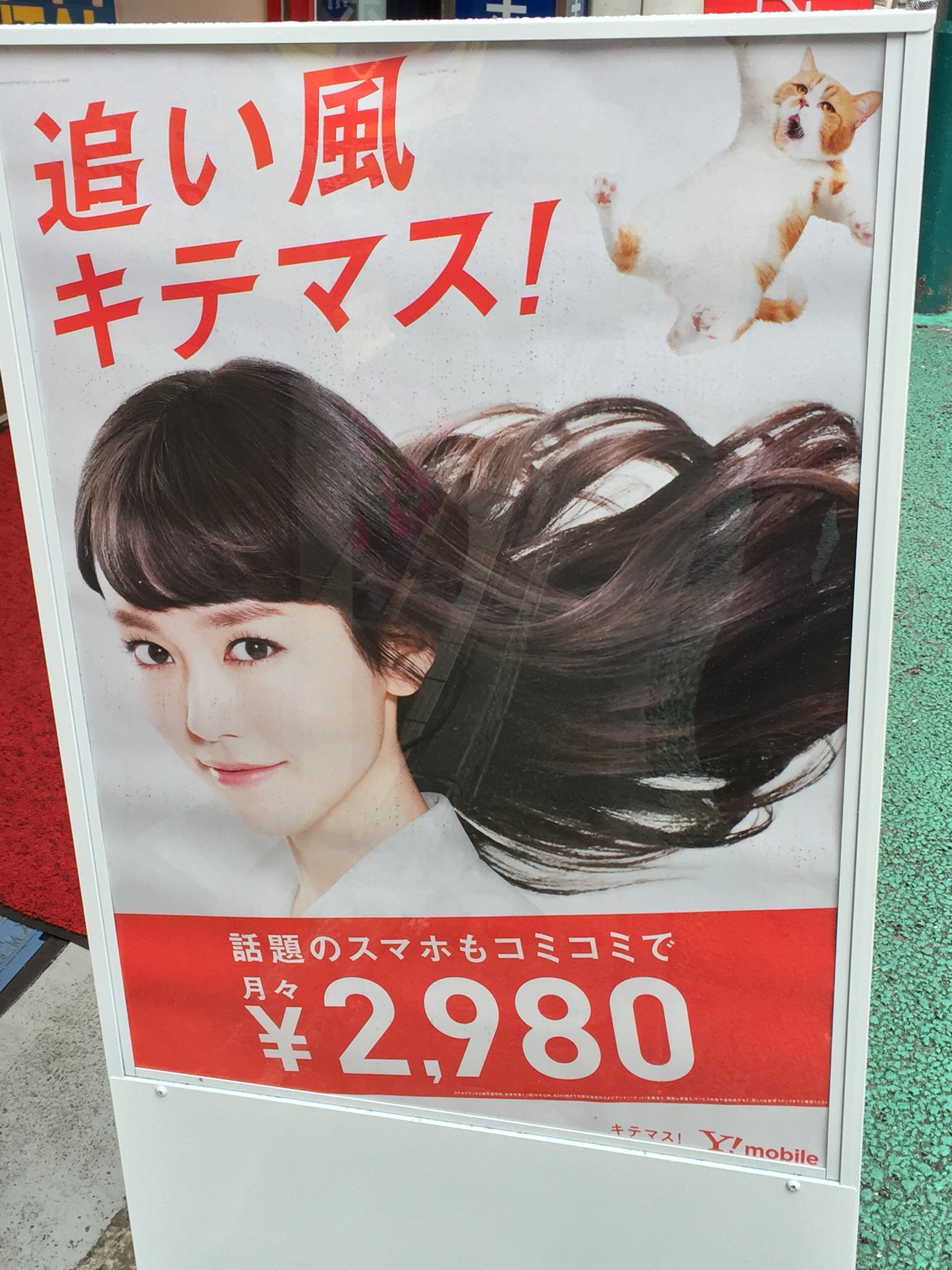 節子 それ向かい風やwwwwwwwww えのげ 節子 それ向かい風やwwwwwwwww えのげ