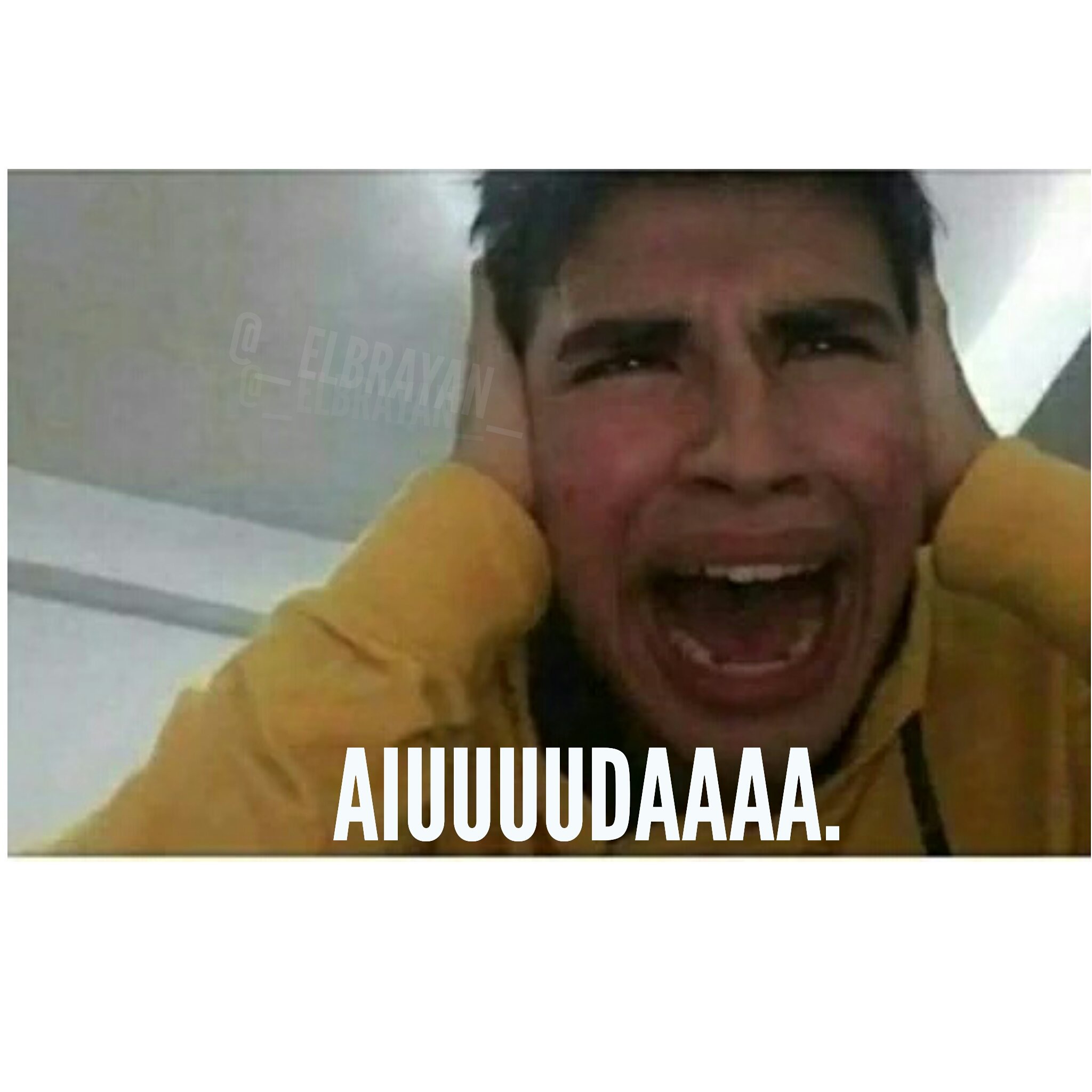 Una gran cantidad de #Memes se han realizado en #Honduras en esta FINAL de  #LaAcademia ✊🏼😎🤣 ¡ #AngieFlores es tendencia y todo están unidos para  que nuestra catracha se lleve el #1erLugar! 🇭🇳🏆, image size:2048x2048