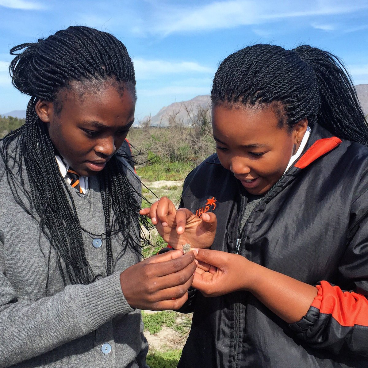 NatureConnectSA's tweet photo. LEAP Science &amp; Maths school learners fascinated by our environment's intricate detail #education #nature #flora https://t.co/WtsLPdCcUM