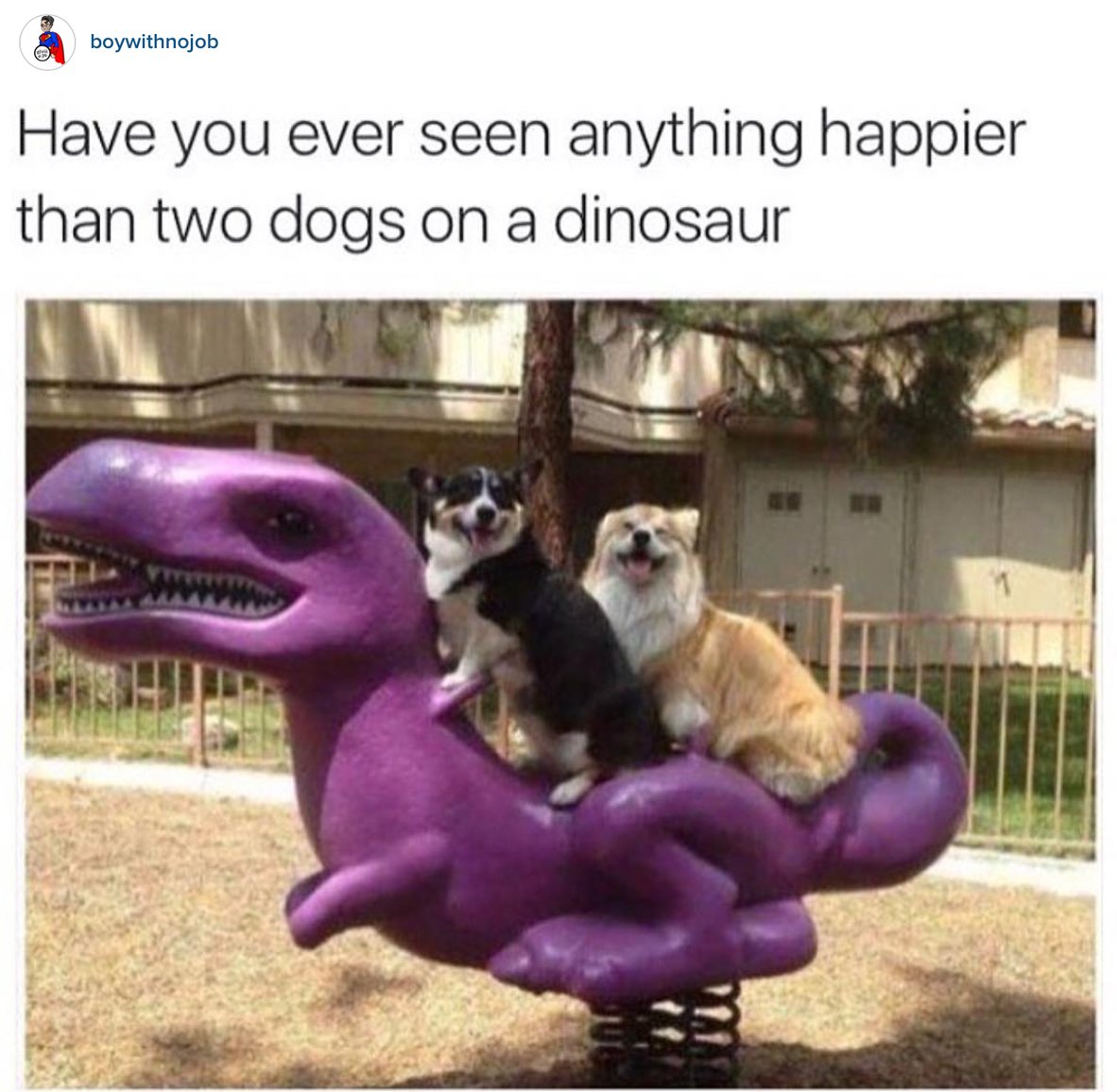 Have you ever seen anybody happier?