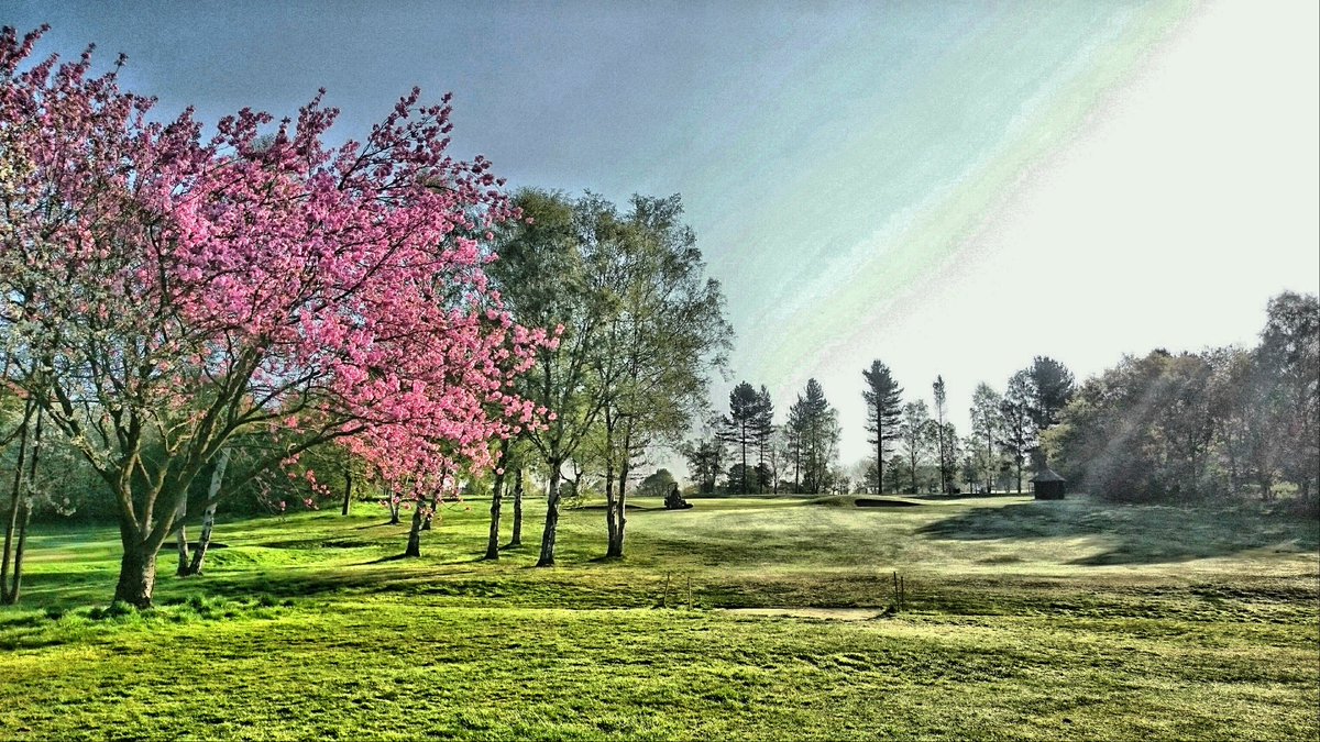 Dean Ward tweet media