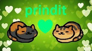 Cinemanimo1's tweet photo. https://t.co/uQjX6EiD2W #prindit (princess x bandit) submited by @aydia_h (edit made by me) #nekoatsume #neko #cat… https://t.co/McM15jcGed