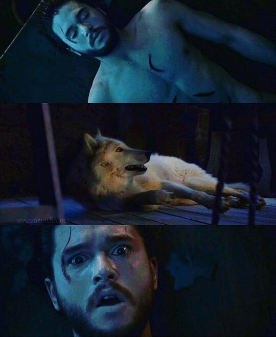 EsmraldaRreyes's tweet photo. Te extrañe amor <3
#love #jonsnow #missyou #amor #happy #alive #jonisalive #like #follow #ap #gameofthrones #GOT #H… https://t.co/gIdvX5b54n
