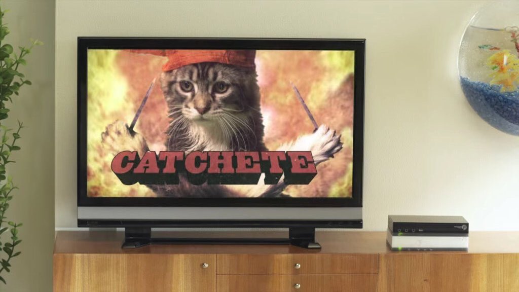 #CATCHETEKILLS 🐱🔪 https://t.co/nSzWbeU8hm