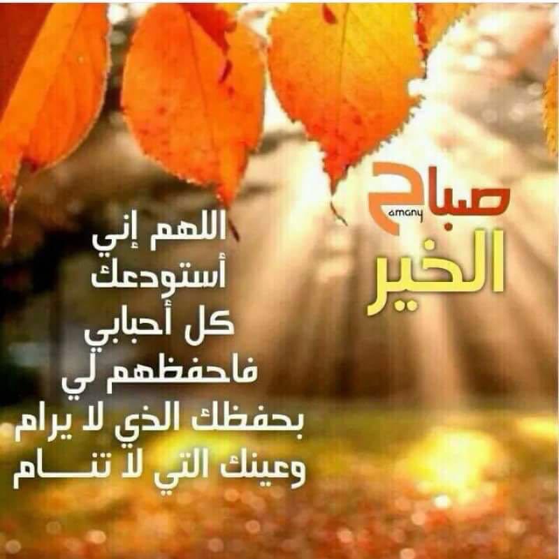 ggaaedf167's tweet photo. صباحٌ جديد بإبتسامة أملٍ ودعاء
أصبحنا وأصبح الملك لله
اللهم إزرع في قلوبنا راحةً دائمة
وأملا ًبك لا يخيب
صباح الخير🌹https://t.co/XWpPjzqizU