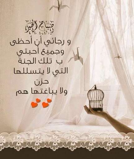 MolaTaher's tweet photo. https://t.co/SFl1ObR0iI
