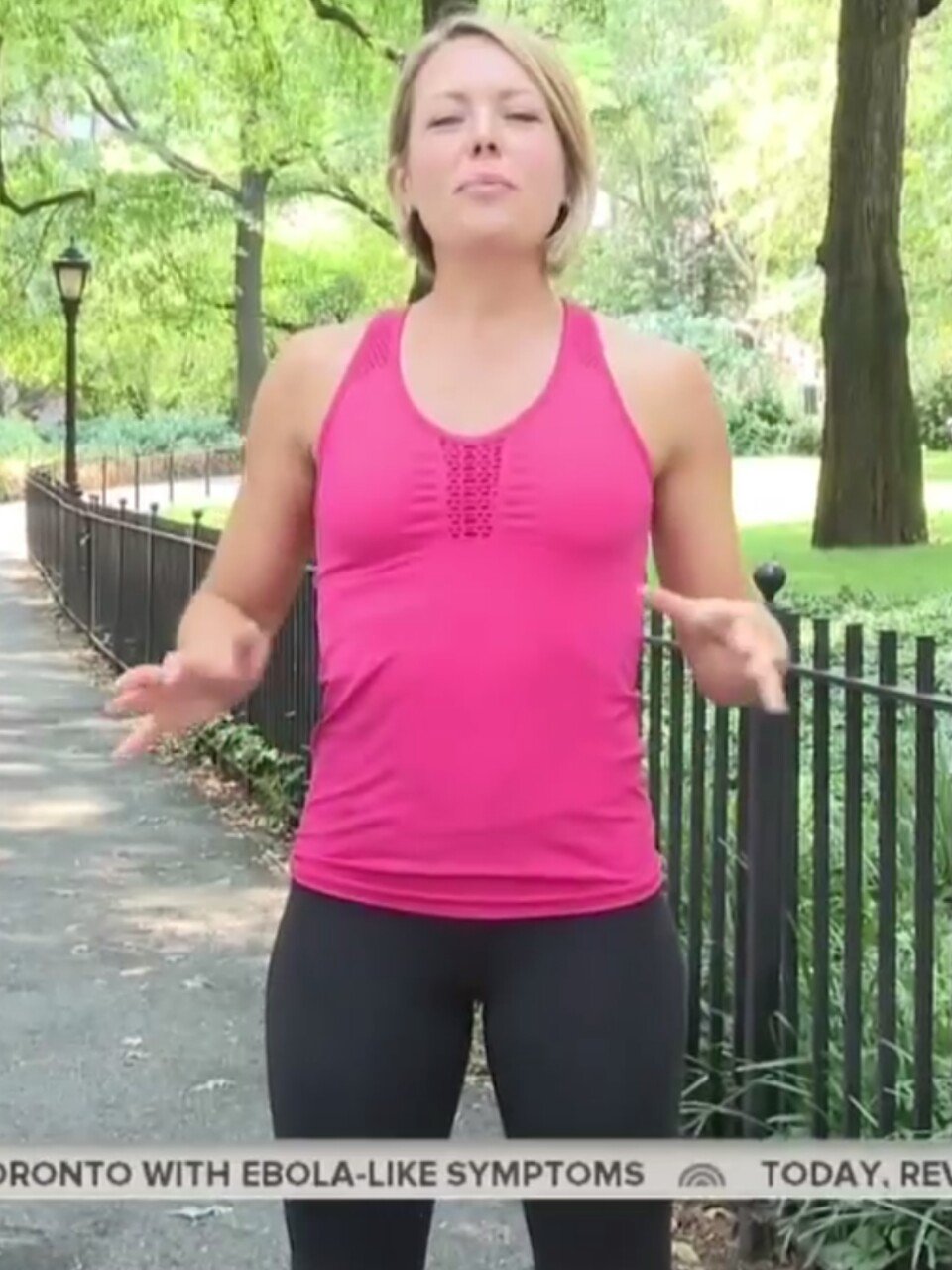 dylan dreyer bikini pics